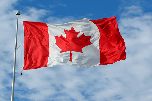 2026 FIFA உலகக் கோப்பை! கனேடிய அரசாங்கம் விடுத்துள்ள எச்சரிக்கை | 2026 Fifa World Cup Canada Warns Of Visa Scams