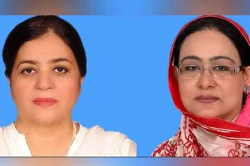 நாடாளுமன்றில்  பெண் எம்பிகள் மோதல்! கன்னத்தில் அறைந்த நபரால் பரபரப்பு