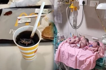 ஒரே பிரசவத்தில் 4 குழந்தைகள் ! பிரபல குளிர்பானத்தில் இறந்து கிடந்த பல்லி... இந்திய செய்திகள்