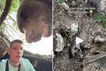 செர்பியா Influencer-க்கு காட்டில் கிடைத்த கரடியுடனான திகில் அனுபவம்: வைரலாகும் வீடியோ