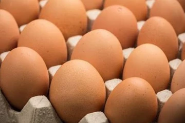 උත්සව සමයේ බිත්තර හිඟයක්..