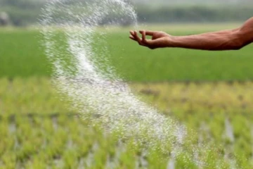 පොහොර ගැන කෘෂිකර්ම අමාත්‍යාංශයෙන් නිවේදනයක්..