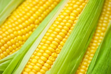 බඩඉරිඟු ආනයනික බද්ද පහළට