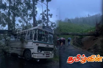 சீரற்ற காலநிலை:நிறுத்தி வைக்கப்பட்டிருந்த பேருந்து மீது முறிந்து விழுந்த மரம்