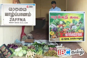 மீண்டும் சொந்த இடத்தில் இயங்க ஆரம்பித்துள்ள காங்கேசன்துறை பொதுச் சந்தை