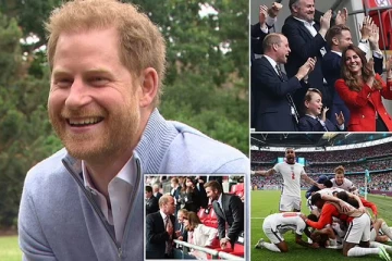 இணைந்தார்கள் சகோதரர்கள்... இளவரசர்கள் ஹரி வில்லியம் இணைப்பின் பின்னால் இருப்பது டயானா அல்ல வேறொரு விடயம்