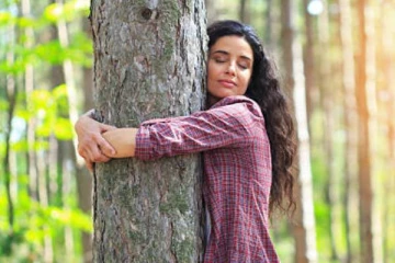 மரத்தை கட்டிப்பிடிக்க 1,500 ரூபாய் கட்டணம்.., இந்த வனக் குளியலை பற்றி தெரியுமா?