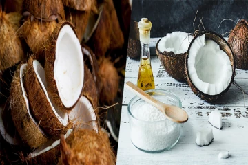 தெங்குசார் பொருட்களின் ஏற்றுமதியில் நாட்டிற்கு கிடைத்துள்ள பல மில்லியன் ரூபா வருமானம்