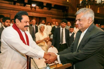 ஆளும் கட்சியின் பிரதமராக ரணிலா? ஹேஷா விதானகே கேள்வி