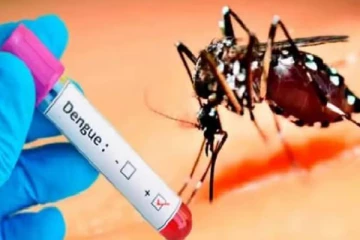 டெங்கு நோயாளர்களின் எண்ணிக்கையில் அதிகரிப்பு