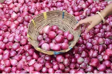 பாகிஸ்தானில் இருந்து இறக்குமதியாகும் பெரிய வெங்காயம்