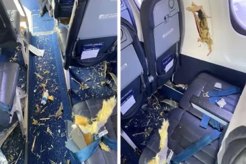 நடுவானில் நடந்த திகில் சம்பவம்! விமானத்தை சூழ்ந்த பறவை கூட்டம்.. பின்னர் நடந்தது என்ன?