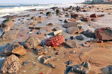 திடீரென உள்வாங்கிய கடல்; கலக்கத்தில்  மக்கள்!