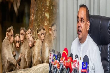 சீனாவுக்கு குரங்குகளை அனுப்பும் திட்டம் கைவிடப்பட்டது ஏன்!(படங்கள்)