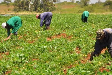 விவசாயிகளுக்குரிய இழப்பீடு வழங்கப்படுவதற்கான சாத்தியக்கூறுகள் எதுவும் இல்லை: மாவட்ட கம நல திணைக்களம்