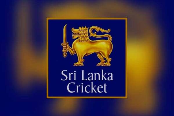 மண்டைதீவு சர்வதேச கிரிக்கெட் மைதானம் சட்டவிரோதமானது : எழுந்துள்ள சர்ச்சை | Jaffna International Cricket Ground Wnps Warning