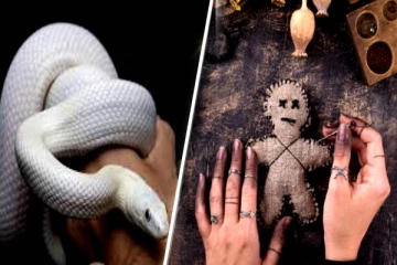 கனவில் வெள்ளை பாம்பு கடித்தால் என்ன நடக்கும் தெரியுமா? இனியும் அலட்சியம் வேண்டாம்!