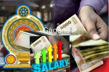 වහාම ක්‍රියාත්මක වන පරිදි රාජ්‍ය සේවකයින් පිරිසකගේ වැටුප් විශාල ගණනකින් වැඩි කරයි..