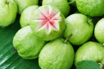 நீரிழிவு நோயாளிகள் கொய்யா பழம் சாப்பிடலாமா? குழப்பத்திற்கு பதில் இதோ