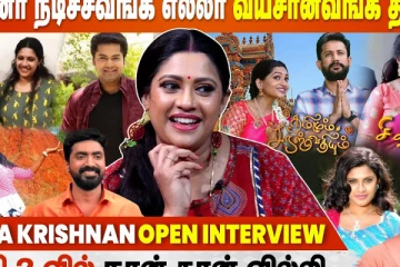சித்தி 2வில் நான் தான் வில்லி - Actress Meera Krishna Interview