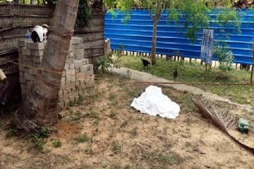 மரத்திலிருந்து தவறி விழுந்த குடும்பஸ்தருக்கு நேர்ந்த கதி!