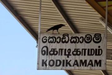 யாழில் திருமாணமாகி 2 மாதங்களில் பரிதாபமாக உயிரிழந்த இளம் குடும்பஸ்தர்!