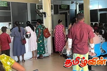குளவி கொட்டியதில் மூவர் வைத்தியசாலையில் அனுமதி: வைத்தியர்கள் சிகிச்சையளிக்காததால் நோயாளர்கள் அவதி
