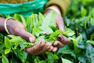 மேலும் அதிகரித்த முக்கிய பொருளின் விலை