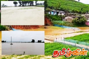 சீரற்ற காலநிலையால் பெரும் பாதிப்பை சந்தித்துள்ள விவசாய நிலங்கள்!