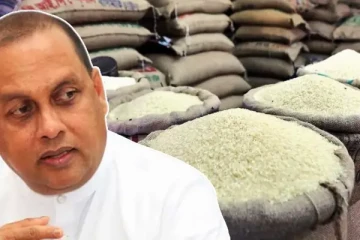 அரிசி இறக்குமதி தொடர்பில் அமைச்சர் வெளியிட்ட தகவல்