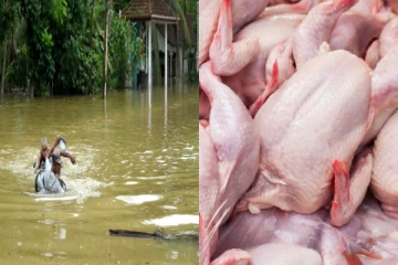 கோழி இறைச்சி பிரியர்களுக்கு வெளியான எச்சரிக்கை