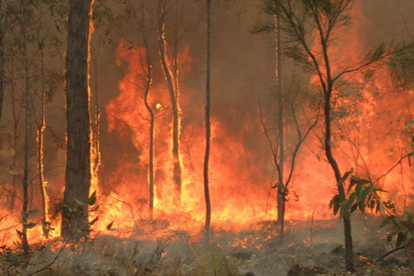 மேற்கில் தீ - கிழக்கில் கனமழை! அவுஸ்திரேலியாவை வெளுத்து வாங்கும் கடுமையான வானிலை - ஐபிசி தமிழ்
