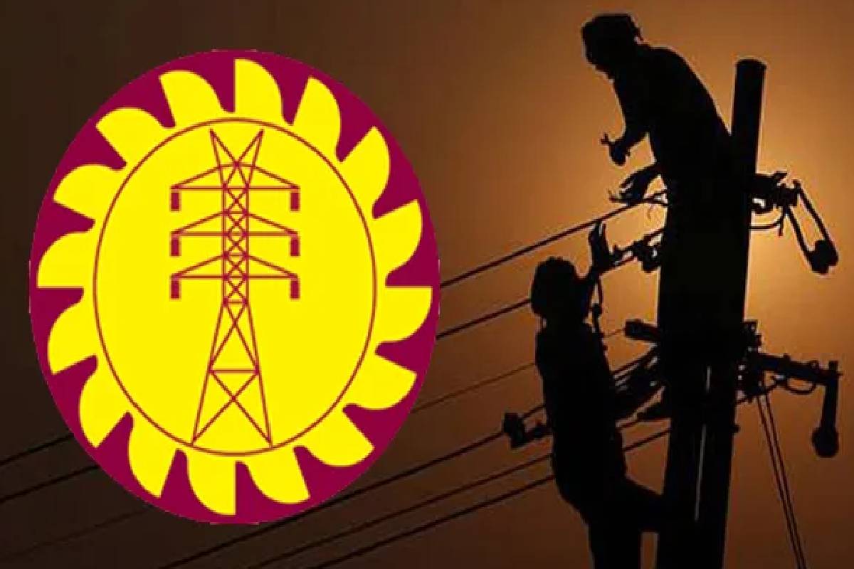 மின்சார விநியோகம் தொடர்பில் மக்களுக்கு வெளியான தகவல் | Information To Public Regarding Electricity Supply