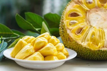 Jack Fruit Benefits: புற்றுநோயை தடுக்கும் பலாப்பழம்.. யாரெல்லாம் சாப்பிடக்கூடாது?