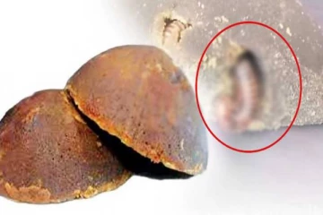 கொழும்பில் கடையொன்றில் கருப்பட்டி வாங்கியவருக்கு காத்திருந்த அதிர்ச்சி