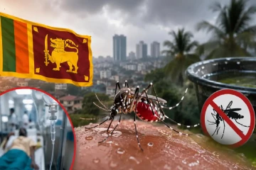 ஆபத்தாக மாறிய டெங்கு; பலி எண்ணிக்கை அதிகரிப்பு