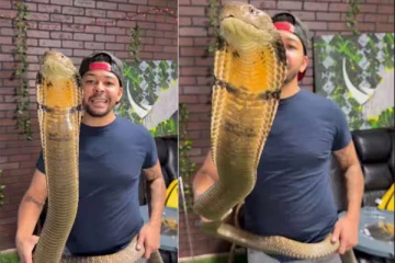 உலகிலேயே புத்திசாலியான பாம்பு - வைரலாகும் வீடியோ