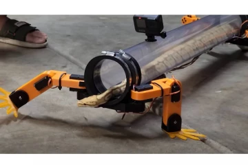 பாம்பை நடக்க வைத்து சாதித்த இளைஞன் - வாயடைத்துபோன பார்வையாளர்கள்; வைரல் வீடியோ