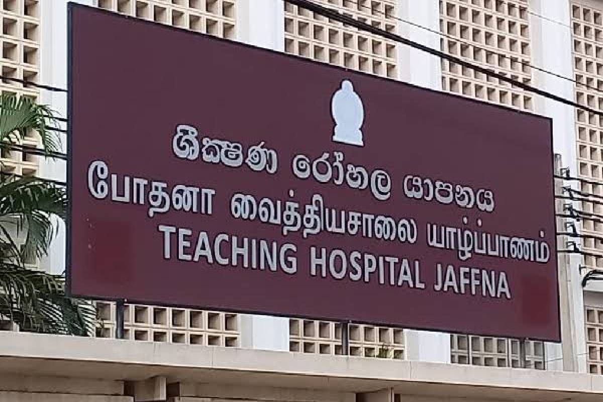 யாழில் தப்பியோடிய கைதி பற்றைக்காட்டிற்குள் மறைந்திருந்த நிலையில் கைது | Escaped Prisoner In Jaffna Arrested யாழில் தப்பியோடிய கைதி பற்றைக்காட்டிற்குள் மறைந்திருந்த நிலையில் கைது | Escaped Prisoner In Jaffna Arrested