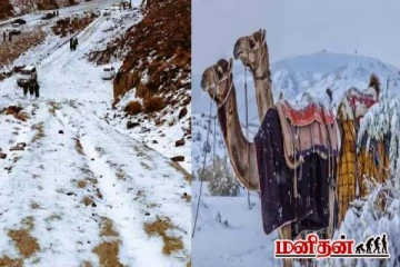 பனிப் பிரதேசமாக மாறிய பாலைவனம்! ஆச்சரியத்தில் சவூதி மக்கள்