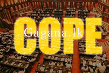 එක පිට එක එකිනෙකා ඉවතට. - තවත් ප්‍රබලයෙක් කෝප් කමිටුවෙන් ඉවතට.