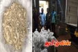 இலங்கைக்கு கடத்த இருந்த பாரியளவு காய்ந்த இஞ்சி பறிமுதல்