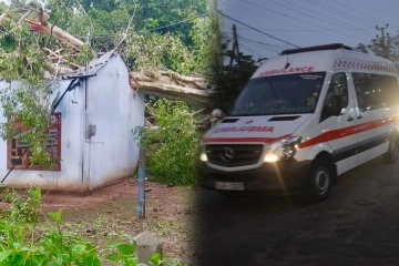 வவுனியாவில் வீட்டின் மீது மரம் விழுந்து ஒருவர் காயம்
