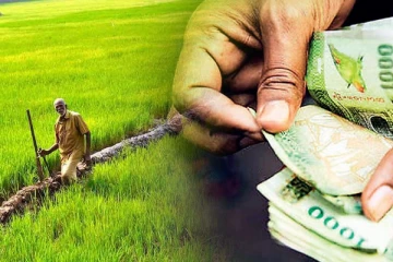 கிளிநொச்சியில் சிறுபோக நெற்செய்கை குறித்து பெறப்படும் நிதி: எழுந்துள்ள குற்றச்சாட்டு