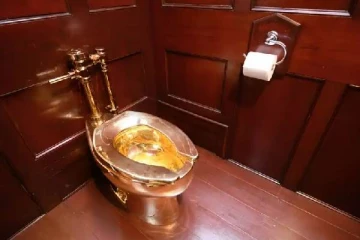 பிரித்தானியாவில் ரூ.49 கோடி மதிப்பிலான தங்கக் கழிப்பறை திருடப்பட்ட விவகாரம்: சிக்கிய நால்வர்