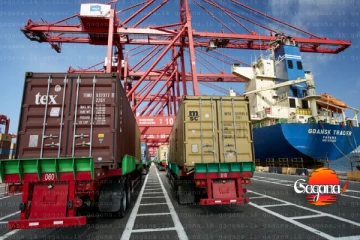 කන්ටේනර් නිදහස්කිරීම ගැන හොයන්න තේරීම් කාරක සභාවක්