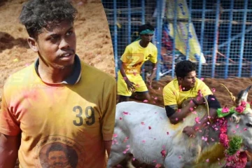 தமிழரின் வீர விளையாட்டு! 17 காளைகளை அடக்கி முதலிடத்தை பிடித்த முருகன்