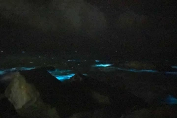 கொழும்பு கடற்பகுதியில் நடந்த அதிசய சம்பவம்