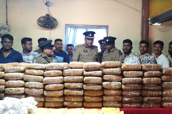 யாழில் பெருந்தொகையான போதைப்பொருளுடன் இருவர் கைது! | Two Arrested With Huge Quantity Of Kerala Ganja