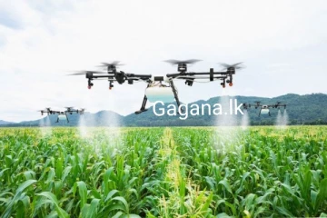 ඩ්‍රෝන කැමරා සහයෙන් වගා ඉඩම් ඇස්තමේන්තුවට පියව‍ර ...